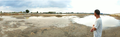 1603944021513640.png image.png